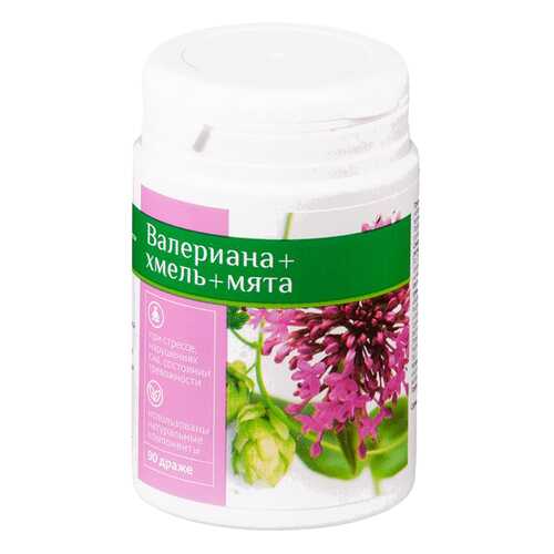Валериана + хмель + мята PL драже 90 шт. в Горздрав