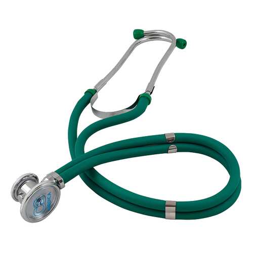 Фонендоскоп Раппапорта CS Medica CS-421 зеленый в Горздрав